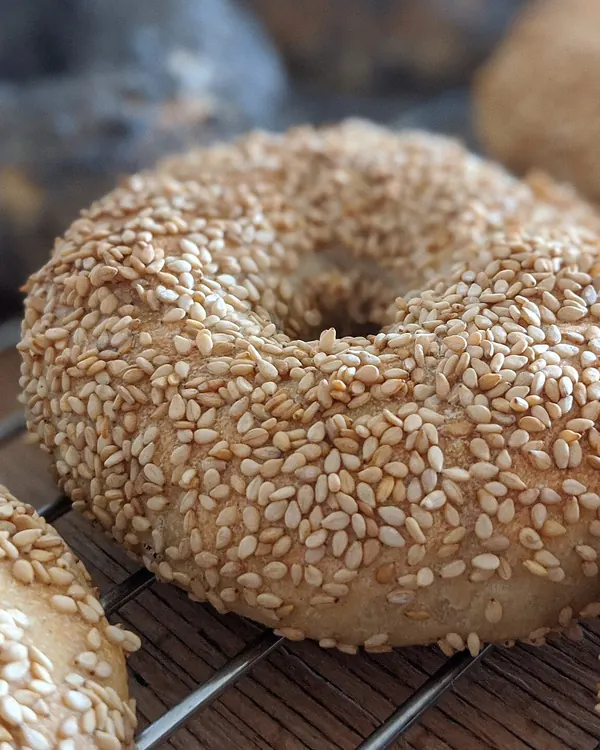 Bagel completely coated with sesame seeds on a cooling rack