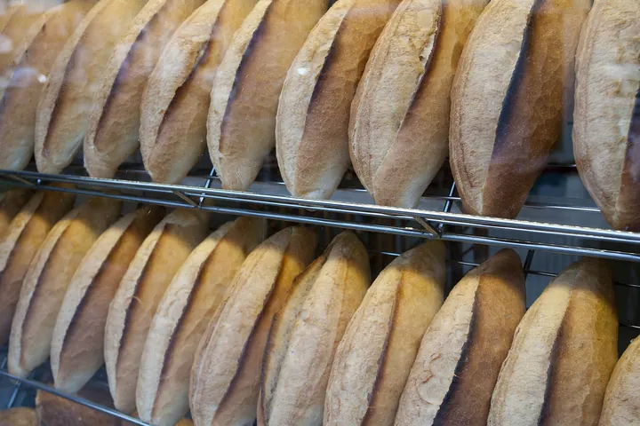Rows of long loaves standing on bakery shelves